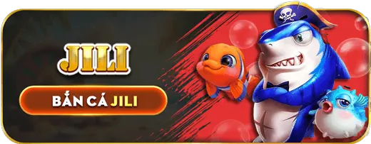 Hình ảnh minh họa chính sách cookie và theo dõi dữ liệu tại 777king casino